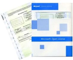 MICROSOFT Office SharePoint Server English SA OLP NL AE (H04-00291)