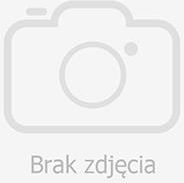 Reksio I Skarb Piratów (Gra PC)