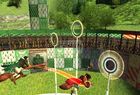 Harry Potter Quidditch World Cup (Gra PC)