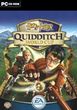 Harry Potter Quidditch World Cup (PC)