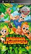 Zabawa w dżungli (Gra PSP)
