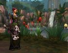World of Warcraft Wrath of the Lich King (Gra PC)