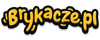 Logo sklepu www.brykacze.pl