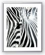 fallback-no-image-3274
