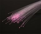 fallback-no-image-15217